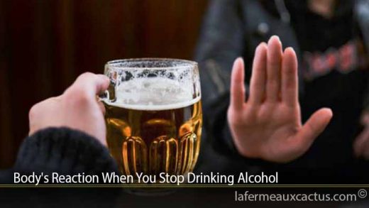Body's Reaction When You Stop Drinking Alcohol