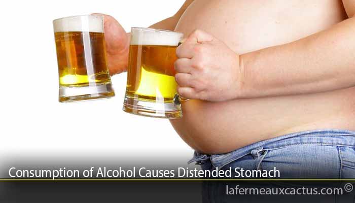 Consumption of Alcohol Causes Distended Stomach