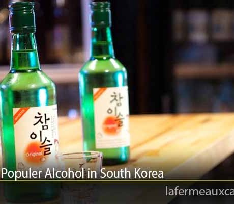 Types of Populer Alcohol in South Korea